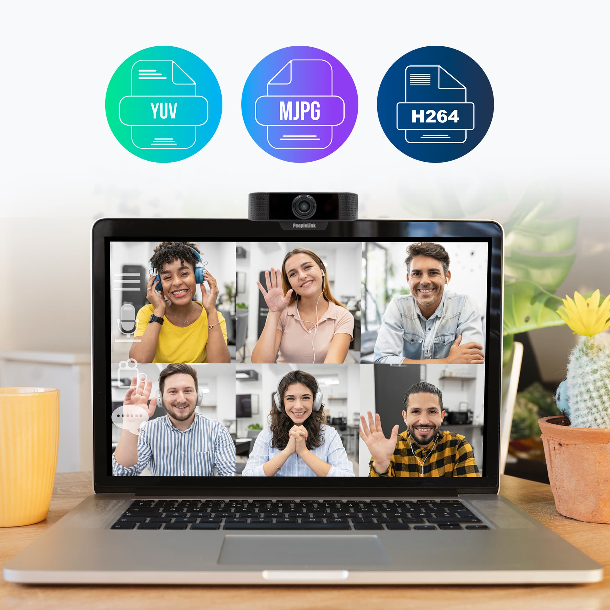 Video Formats